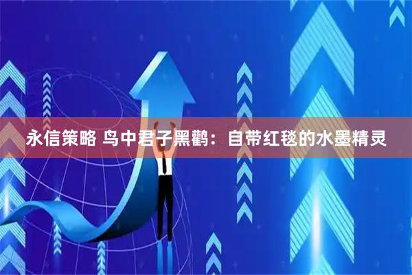 永信策略 鸟中君子黑鹳：自带红毯的水墨精灵