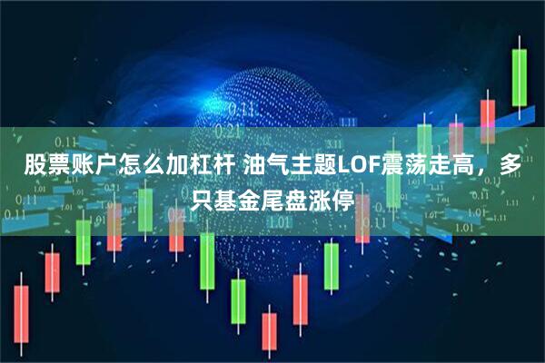 股票账户怎么加杠杆 油气主题LOF震荡走高，多只基金尾盘涨停