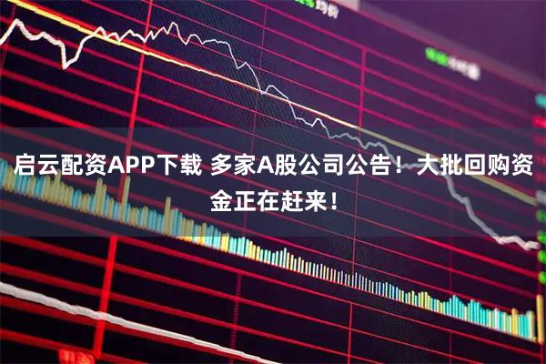 启云配资APP下载 多家A股公司公告！大批回购资金正在赶来！